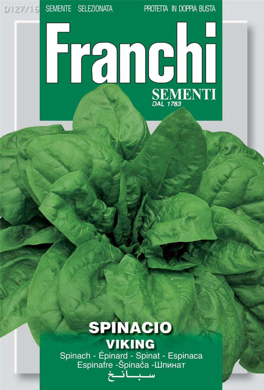 Franchi Seeds of Italy Spinach Viking Seeds