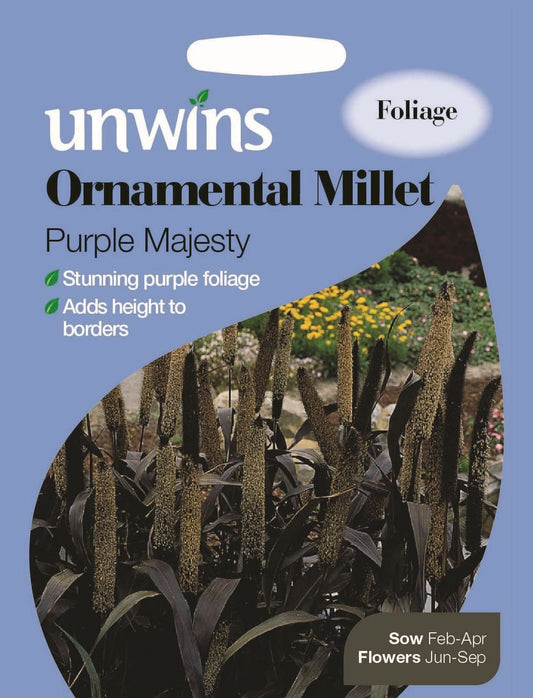 Unwins Ornamental Millet Purple Majesty 8 Seeds