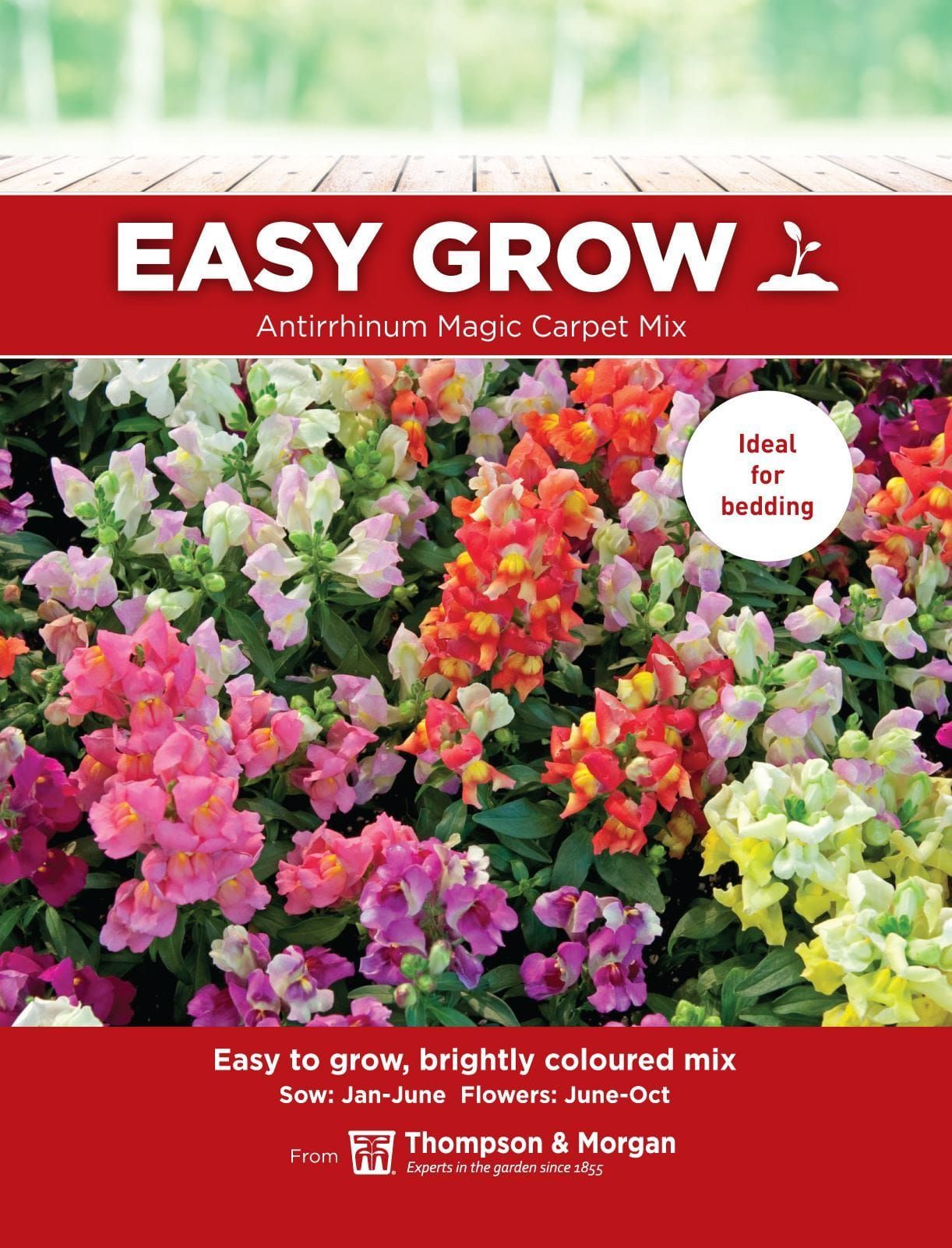 Thompson & Morgan - EasyGrow - Flower - Antirrhinum - Magic Carpet Mix - 1500 Seeds