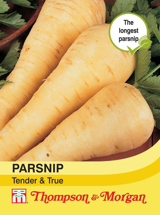 Thompson & Morgan Parsnip Tender & True 300 Seed