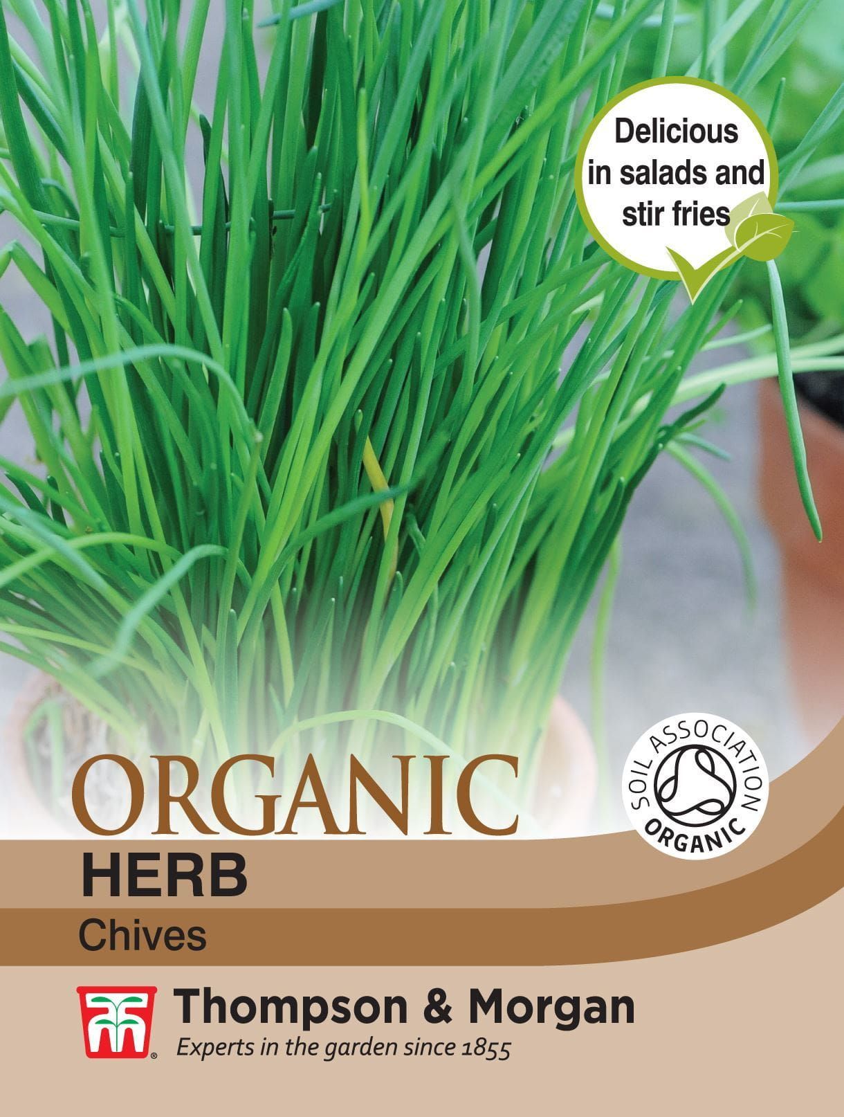 Thompson & Morgan - Organic - Herb - Chives - 250 Seeds