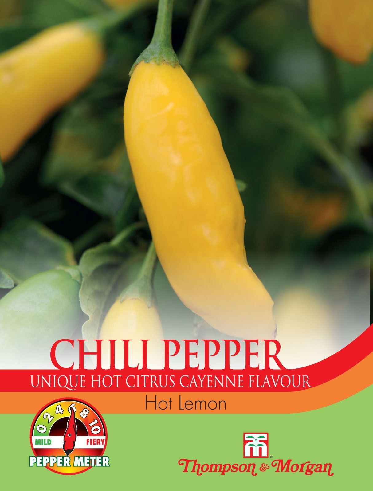 Thompson & Morgan - Pepper Chili Hot Lemon - 10 Seeds