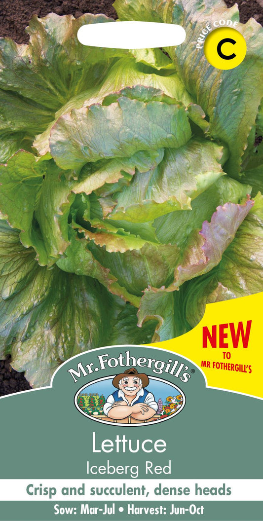 Mr Fothergills - Vegetable - Lettuce - Iceberg Red - 1000 Seeds