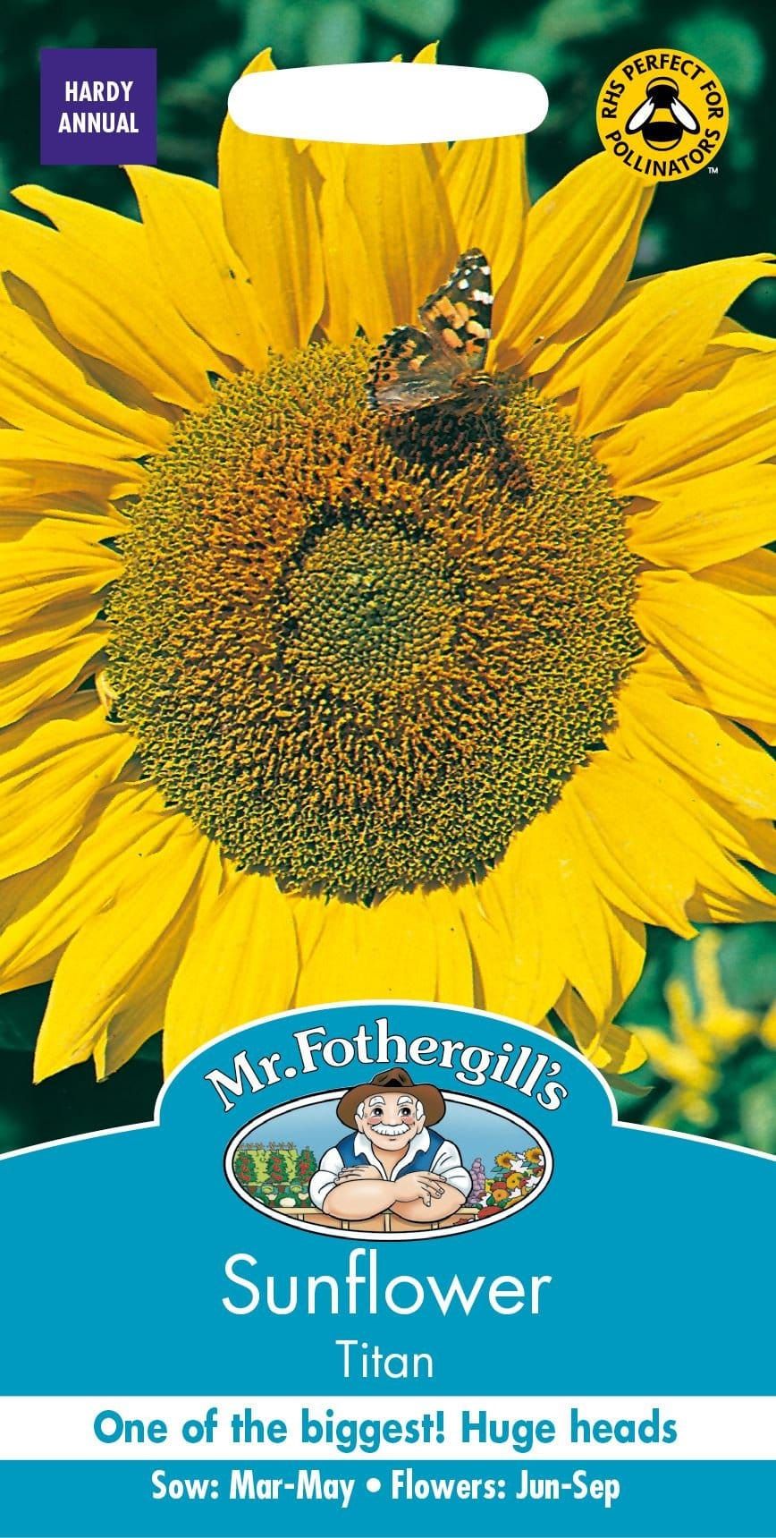 Mr Fothergills Sunflower Titan 25 Seeds