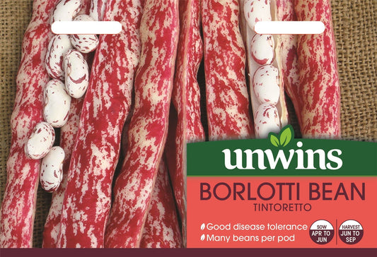 Unwins Borlotti Bean Tintoretto 50 Seeds