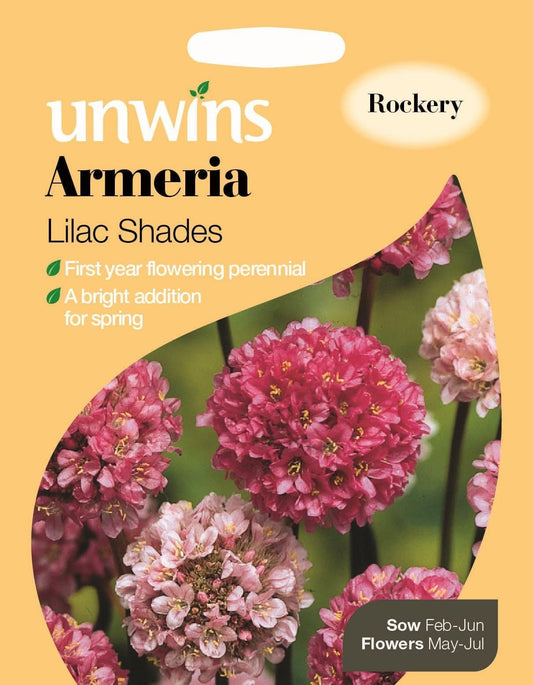 Unwins Armeria Lilac Shades 30 Seeds