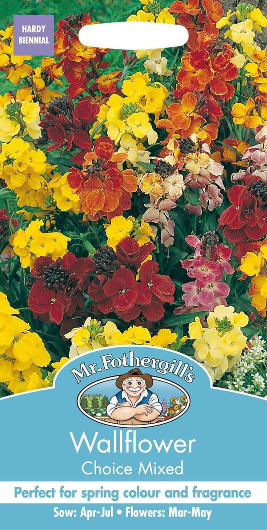 Mr Fothergills Wallflower Choice Mixed 500 Seeds