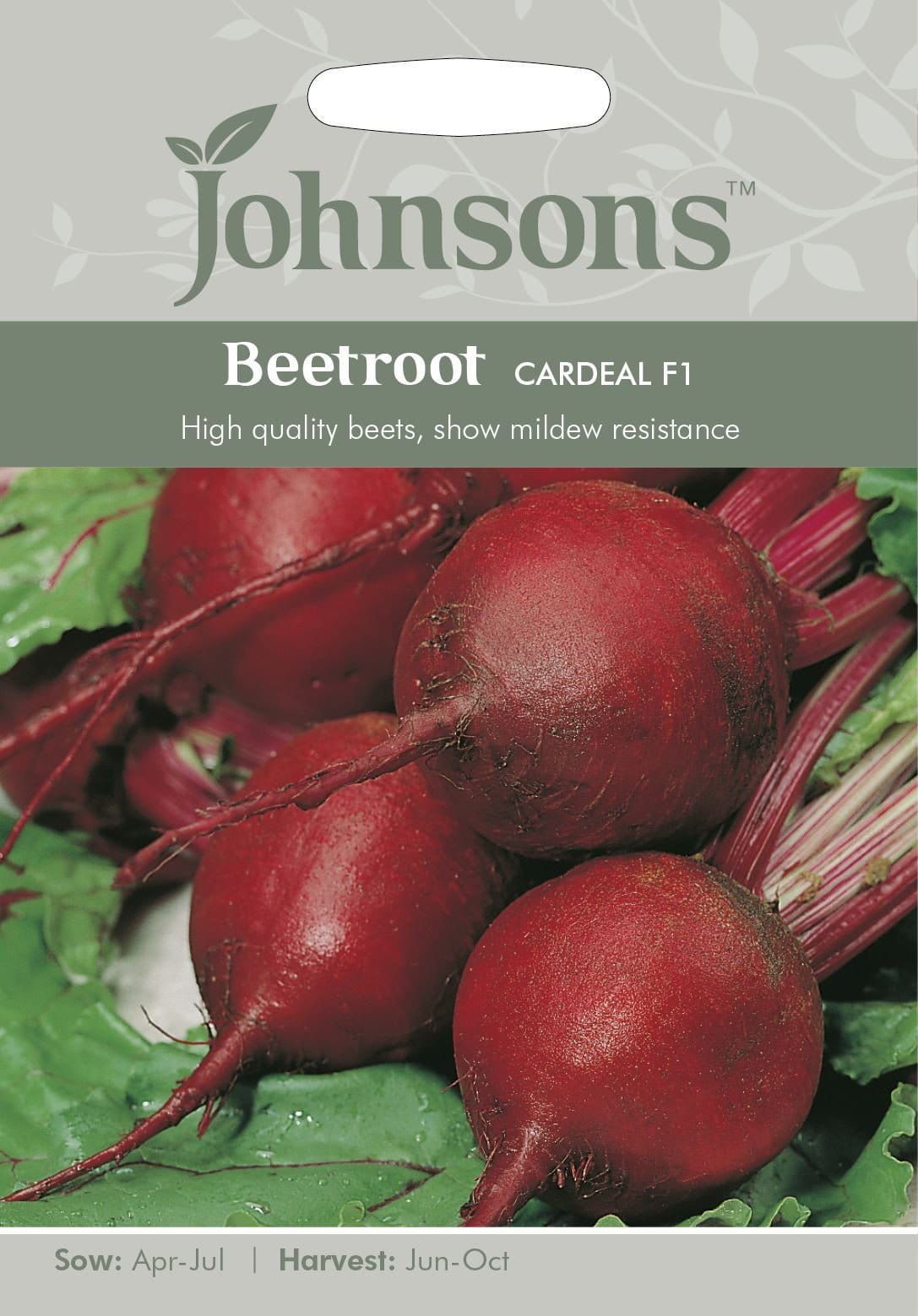Johnsons Beetroot Cardeal F1 100 Seeds