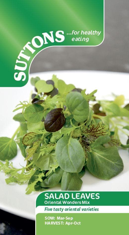 Sutton Seeds - Salad Leaves Oriental Wonders Seed Mix