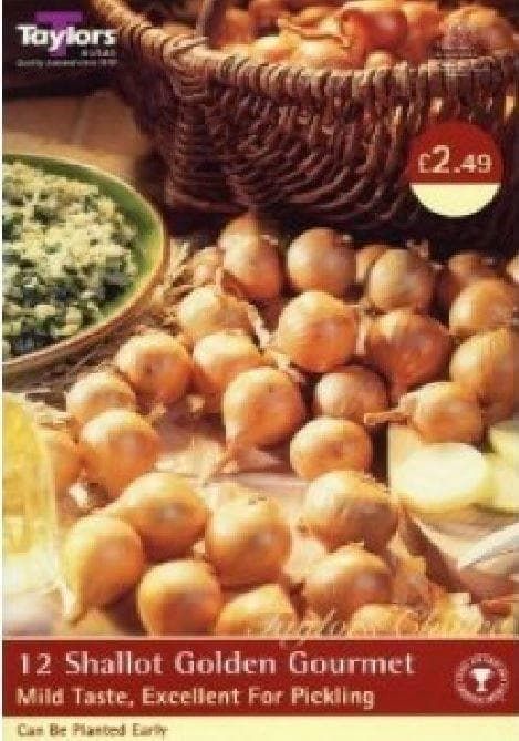 Taylors Shallot Sets Golden Gourmet Sachet 12 Sets
