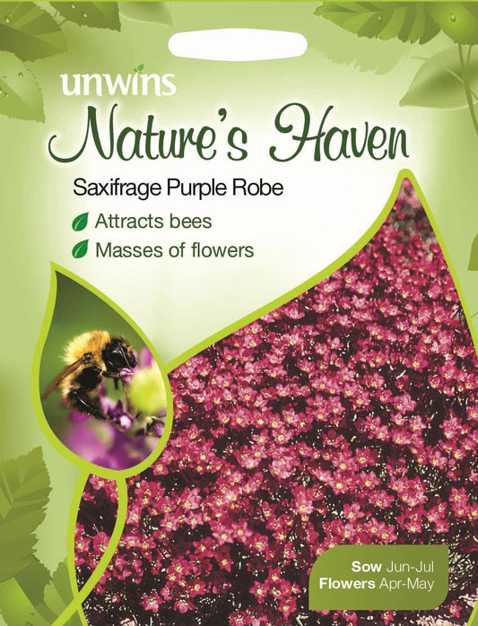 Unwins Nature's Haven Saxifrage Purple Robe 50 Seeds