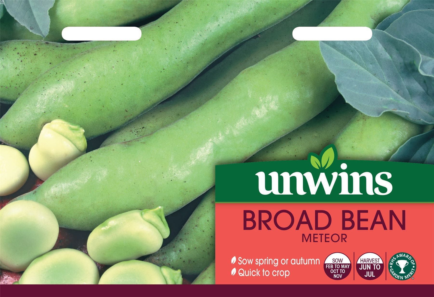 Unwins Broad Bean Meteor Seeds 45 Seeds