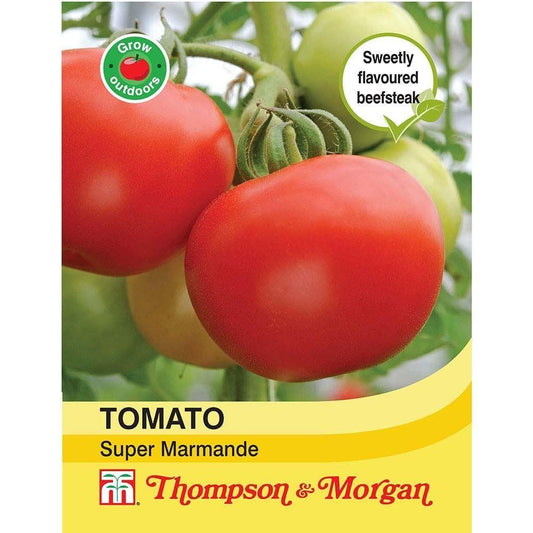 Thompson & Morgan Tomato Super Marmande 30 Seed