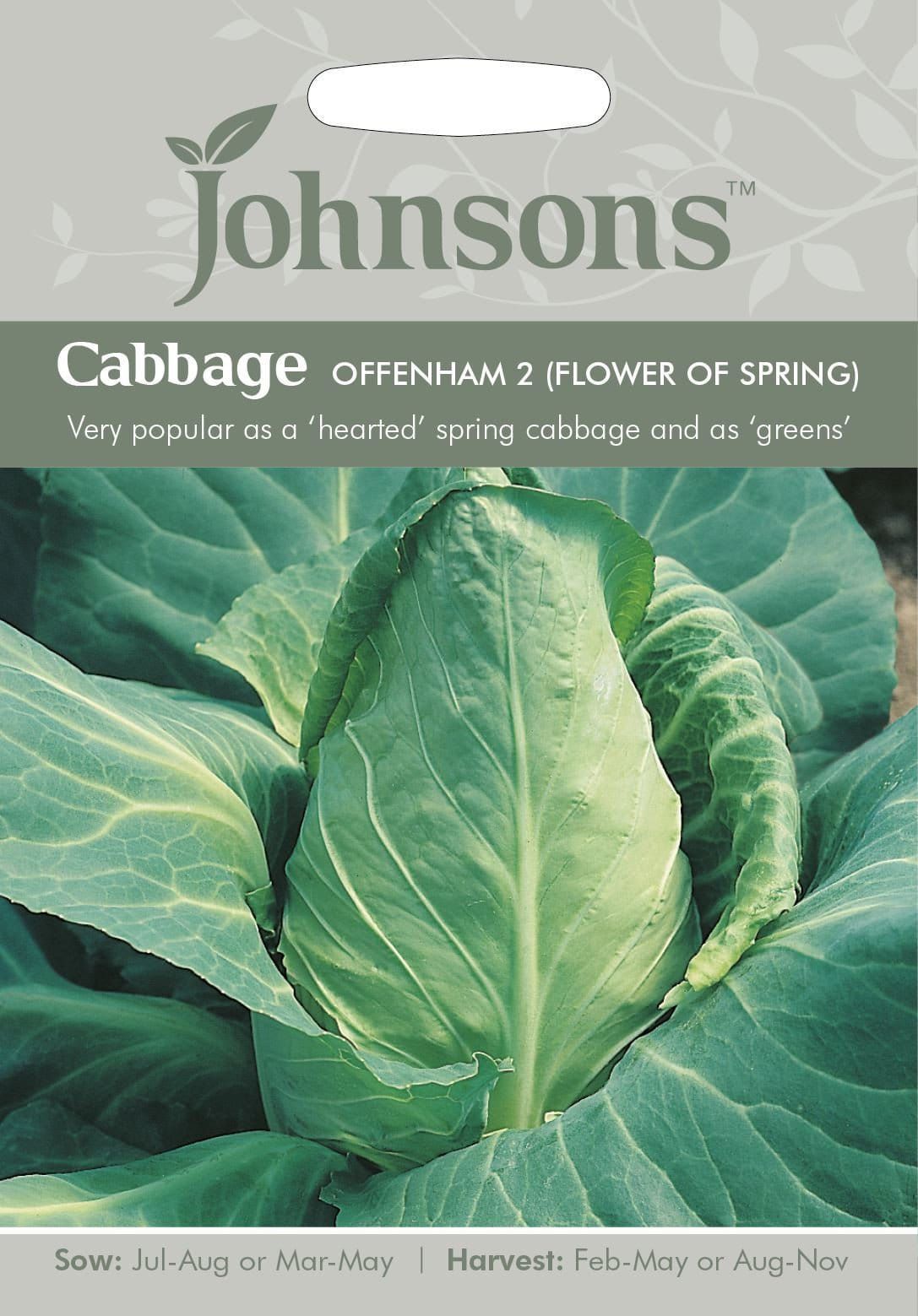 Johnsons Cabbage Offenham of Spring 2 500 Seeds