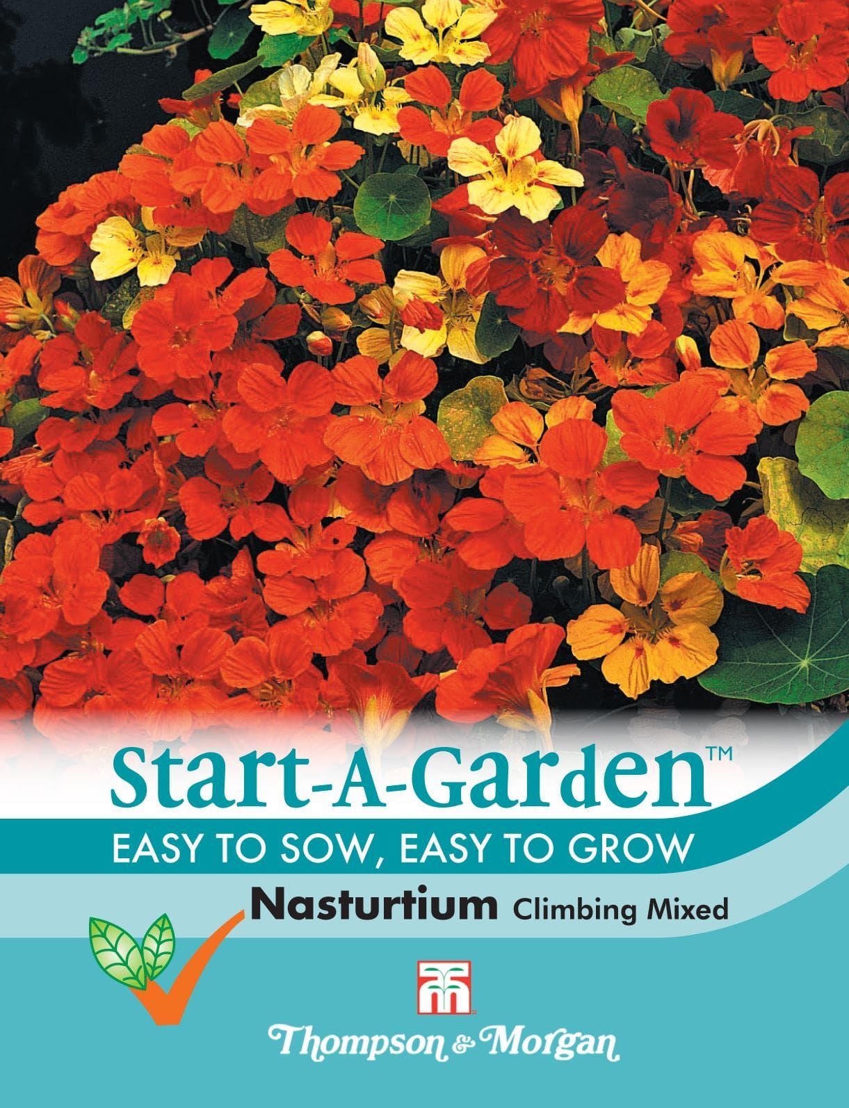 Climbing Nasturtium Seeds