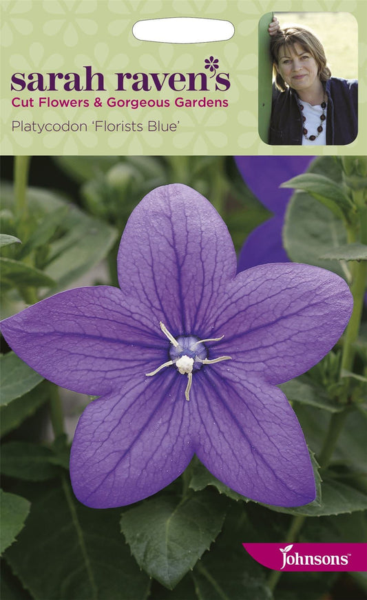 Johnsons Sarah Raven's Platycodon Florists Blue 500 Seeds