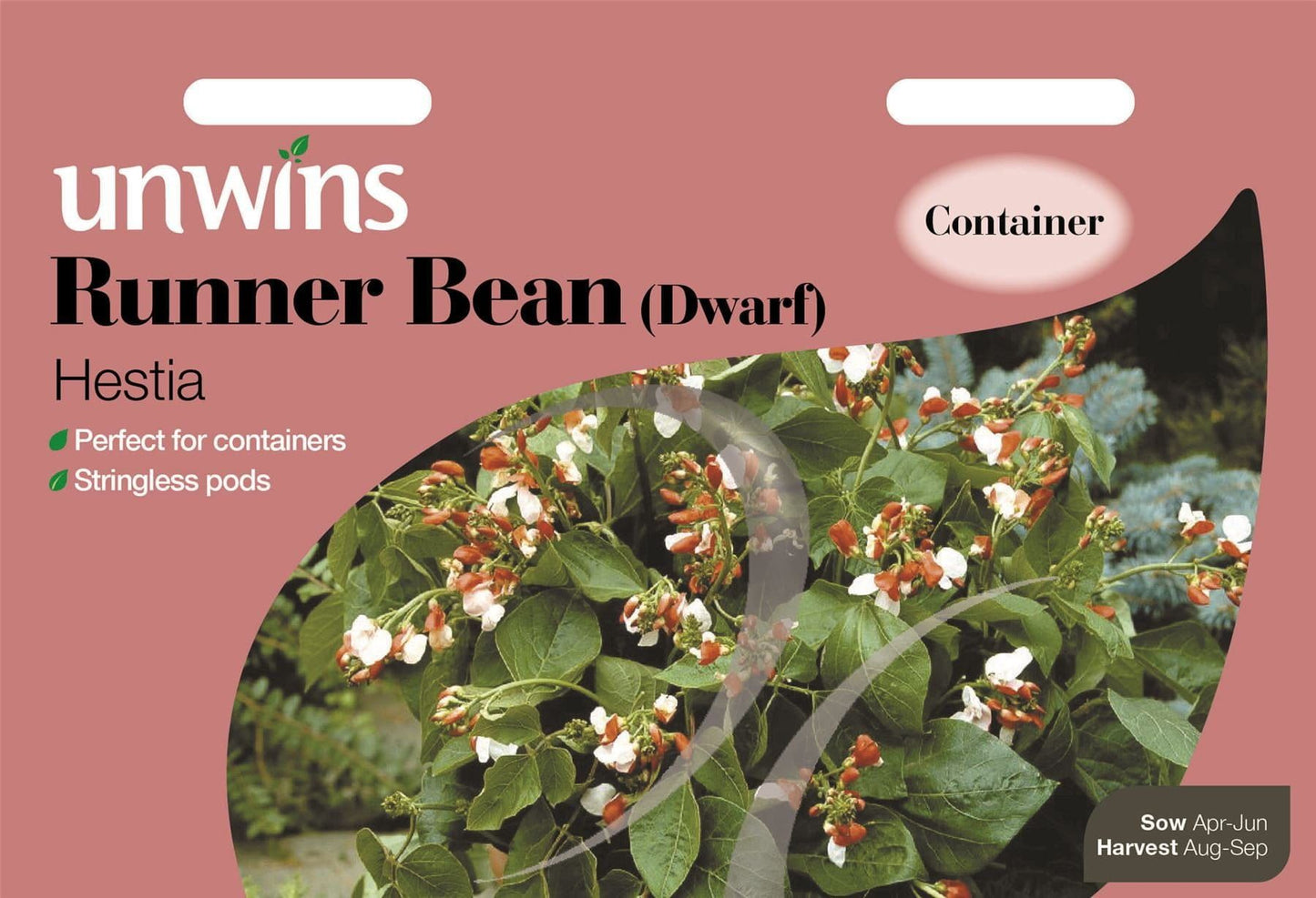 Unwins Runner Bean (Dwarf) Hestia 30 Seeds