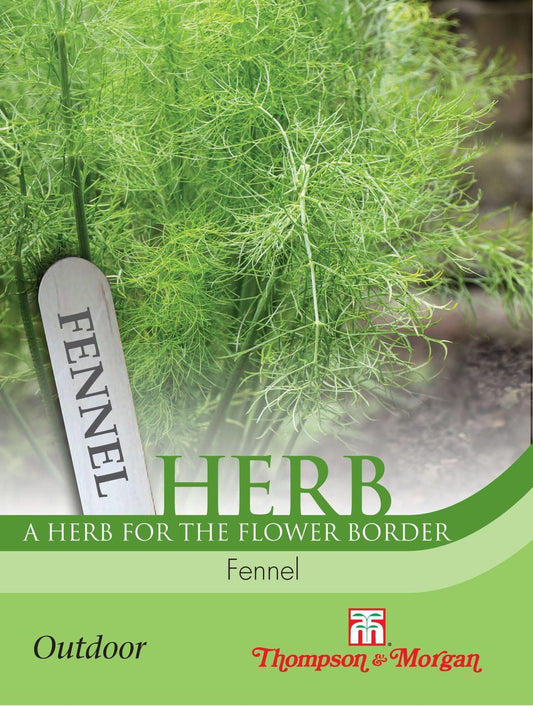 Thompson & Morgan Herb Fennel 250 Seed