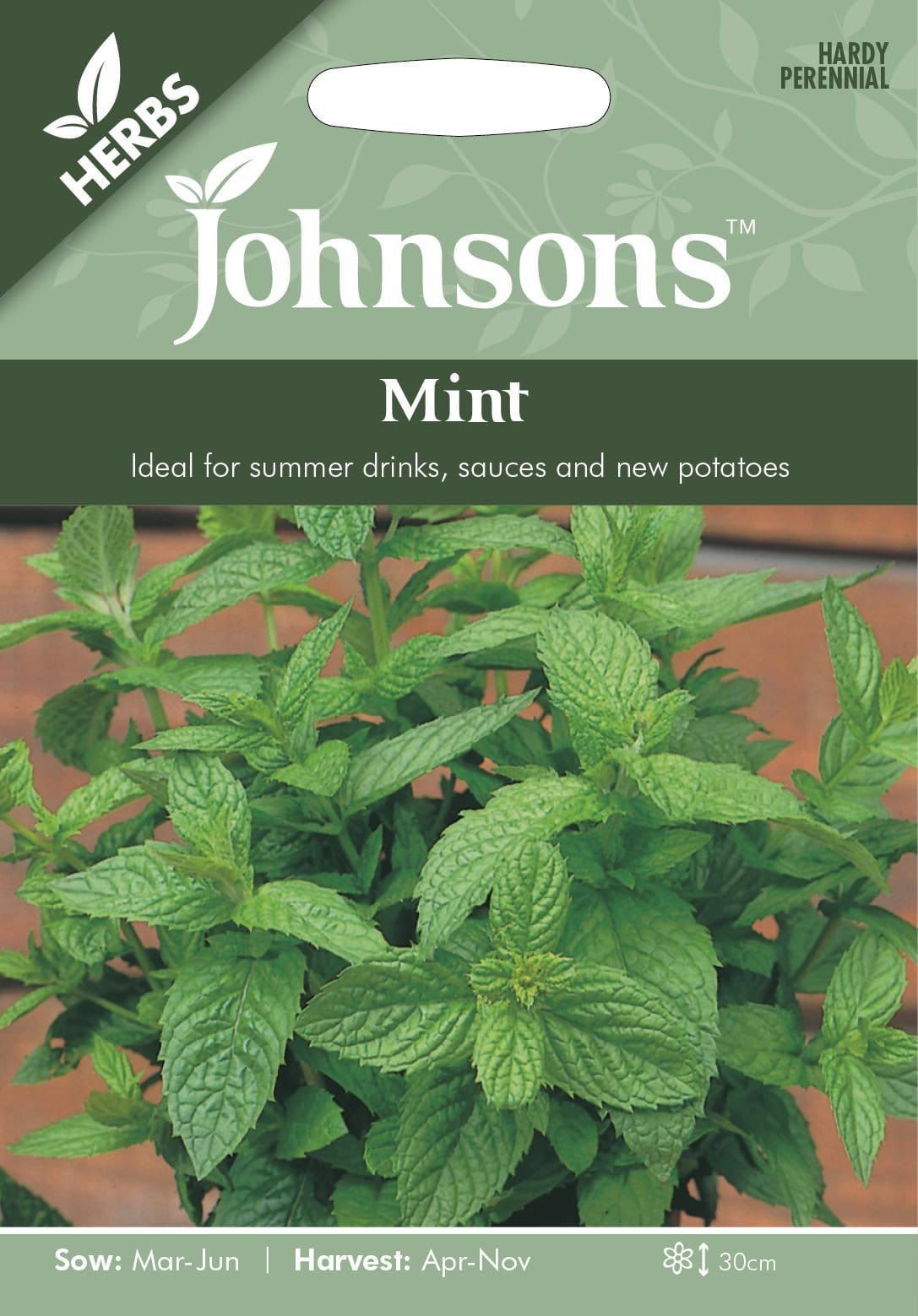 Johnsons Herb Mint 1250 Seeds