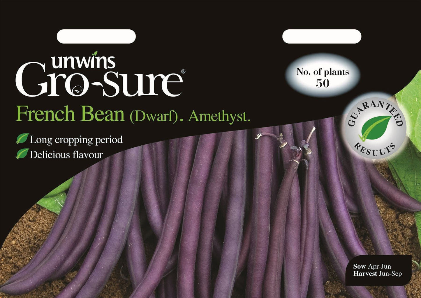 Unwins French Bean (Dwarf) Amethyst 50 Seeds