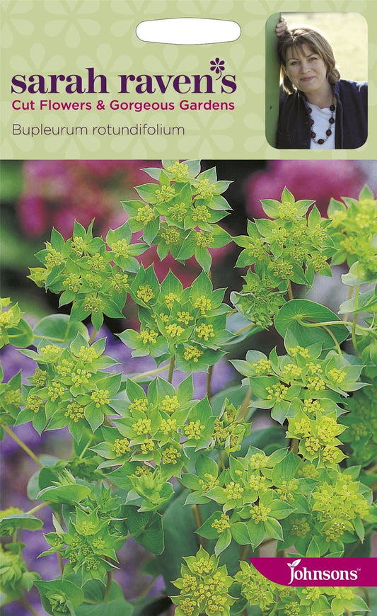 Johnsons Sarah Raven's Bupleurum Rotundifolium 200 Seeds