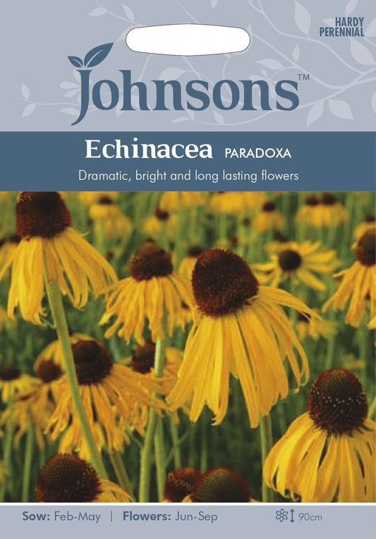 Johnsons Echinacea Paradoxa 20 Seeds