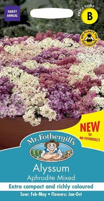 Mr Fothergills - Flower - Alyssum Aphrodite Mixed - 150 Seeds