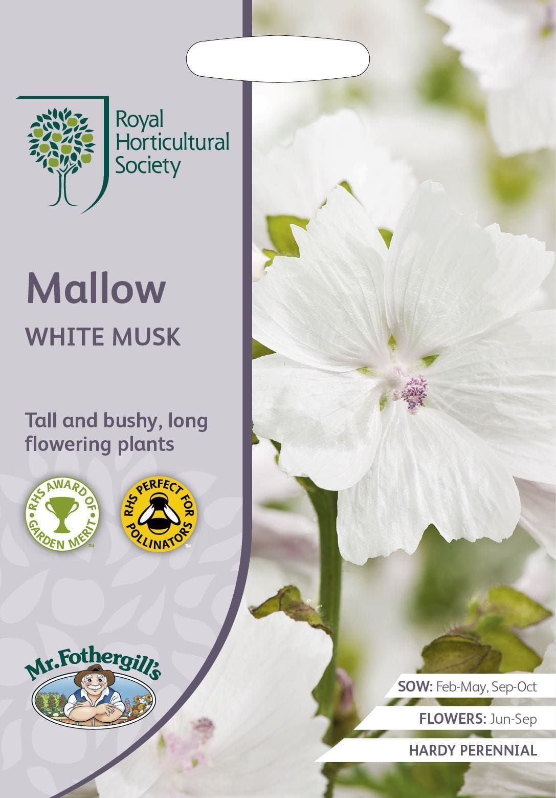 Mr Fothergills RHS Mallow White Musk 100 Seeds