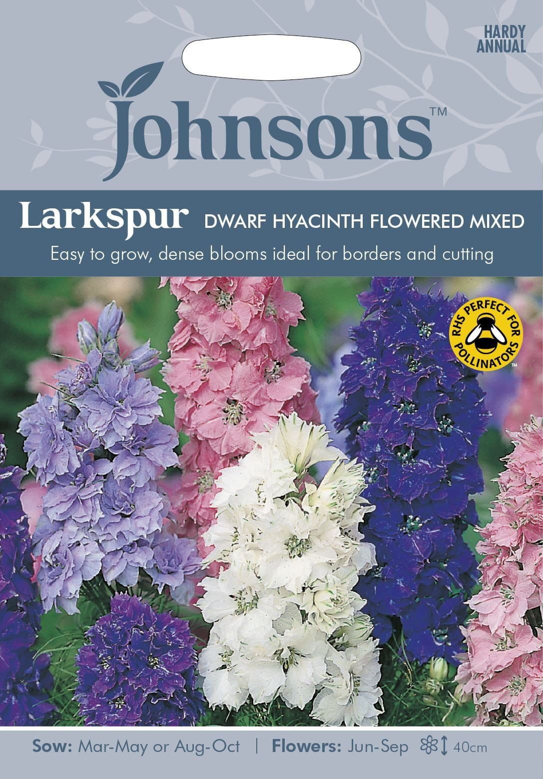 Johnsons Larkspur Dwarf Hyacinthed Mixed 300 Seeds