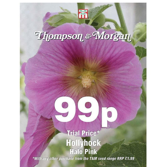 Thompson & Morgan - 99p Flower - Hollyhock - Halo Pink - 60 Seeds