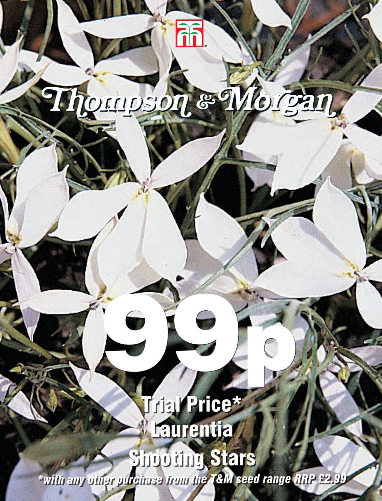 Thompson & Morgan - 99p Flower - Laurentia - Shooting Stars - 60 Seeds