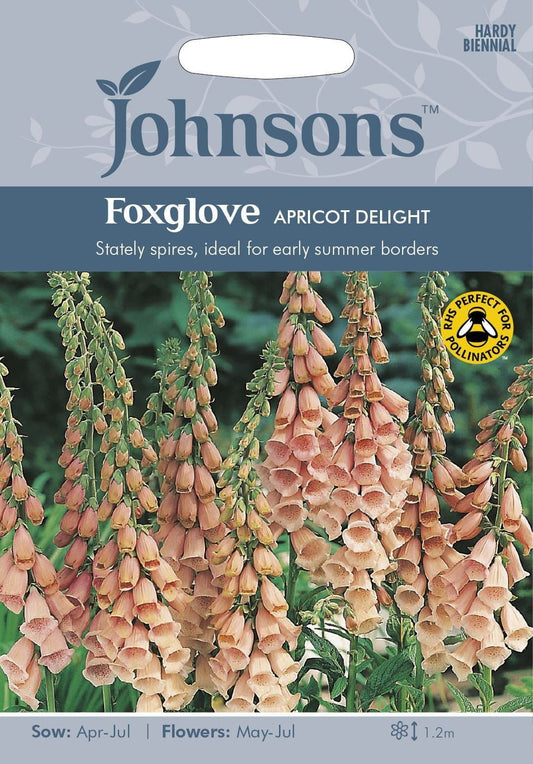 Johnsons Foxglove Apricot Delight 1000 Seeds