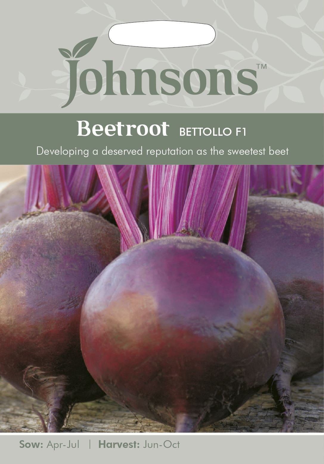 Johnsons Beetroot Bettollo F1 150 Seeds