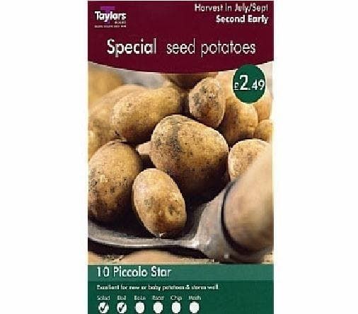 Taylors Seed Potatoes Piccalo Star 10 Tubers Second Early