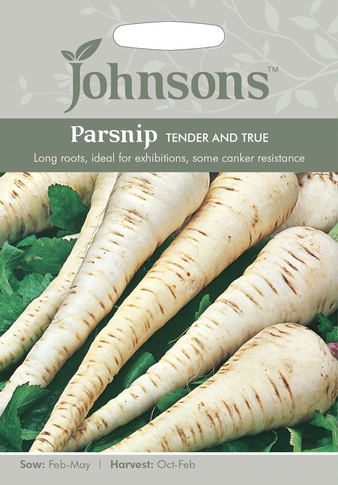 Johnsons Parsnip Tender and True 500 Seeds