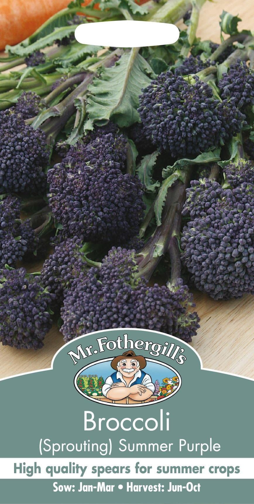 Mr Fothergills Broccoli Sprouting Summer Purple 150 Seeds