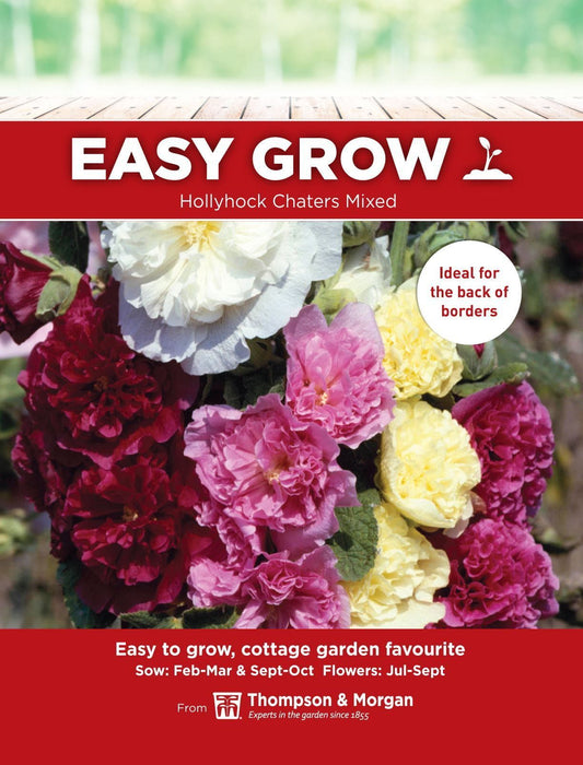 Thompson & Morgan - EasyGrow - Flower - Hollyhock - Chaters Mixed - 40 Seeds