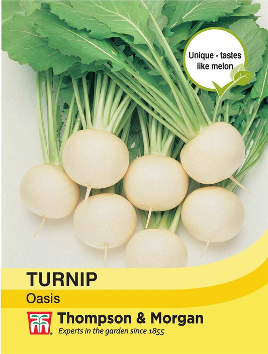 Thompson & Morgan Turnip Oasis 250 Seed