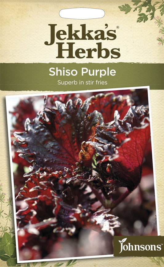 Johnsons Jekka's Herbs Shiso Purple 175 Seeds