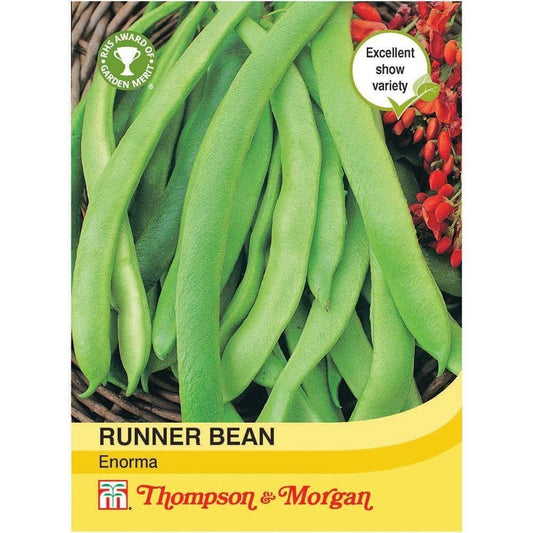 Thompson & Morgan Runner Bean Enorma 40 Seed