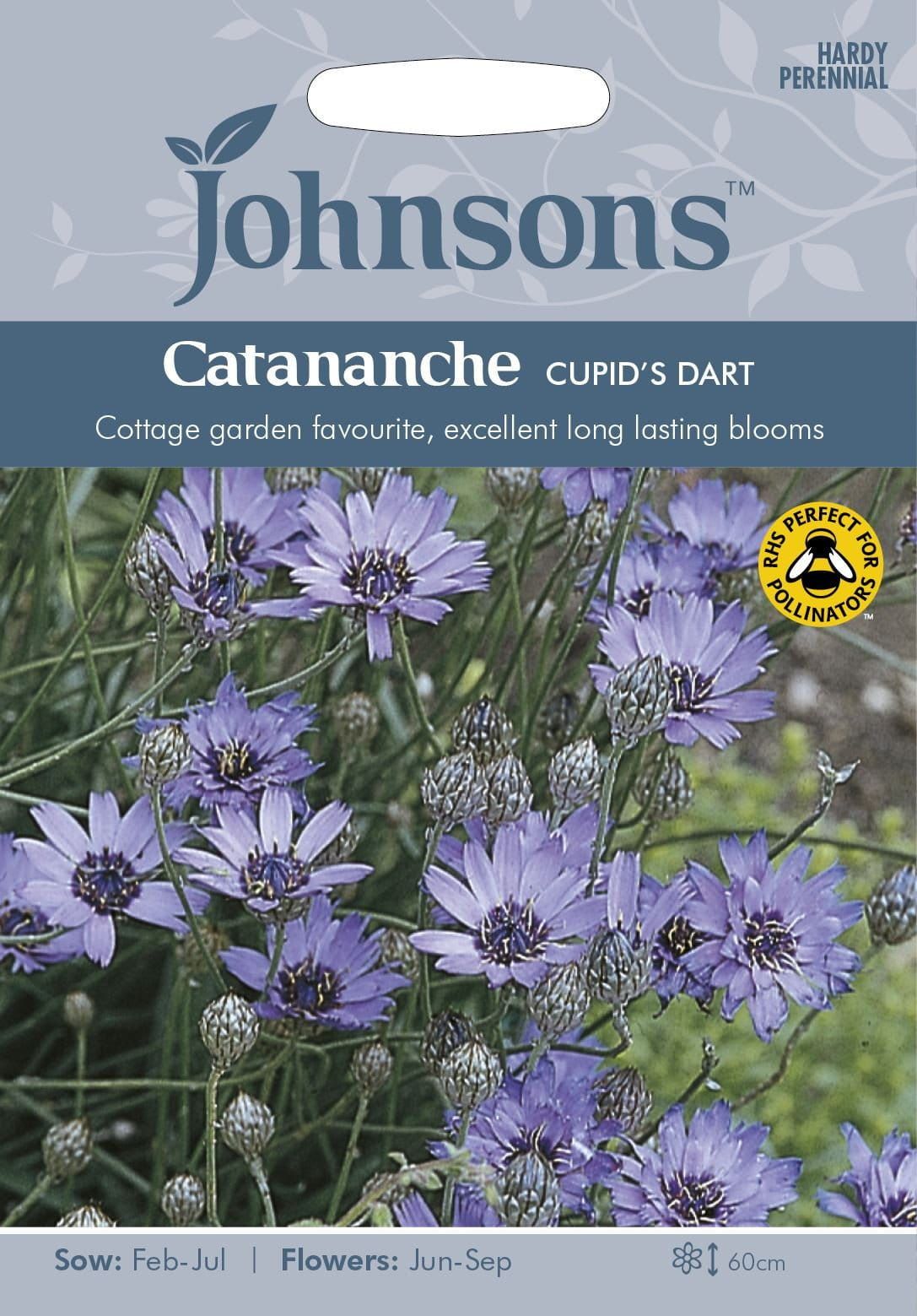 Johnsons Catananche Cupids Dart 125 Seeds