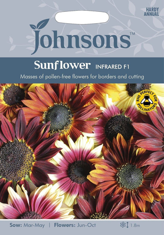 Johnsons Sunflower Infrared F1 20 Seeds