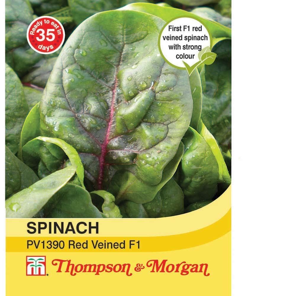 Thompson & Morgan Spinach PV1390 Red Veined 500 Seed