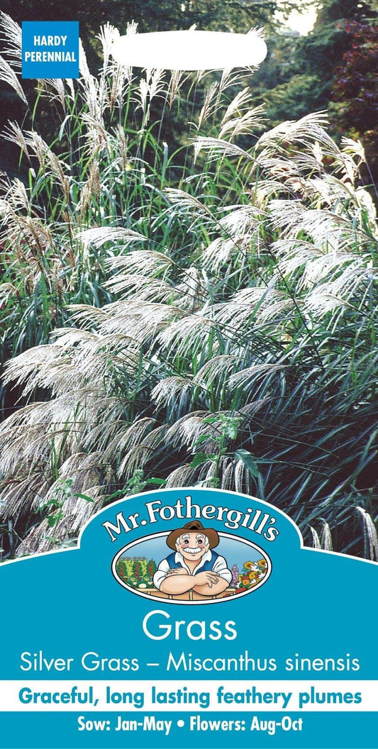 Mr Fothergills Grass Silver Grass Miscanthus Early Hybrids 75 Seeds