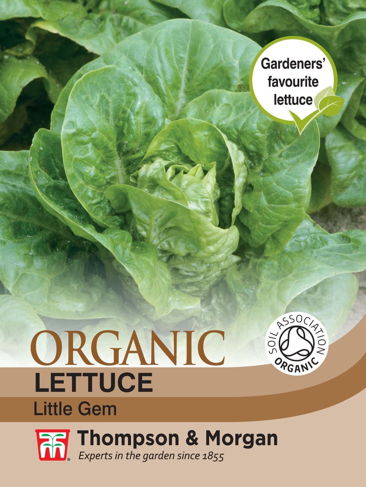 Thompson & Morgan - Organic - Lettuce - Little Gem - 400 Seeds