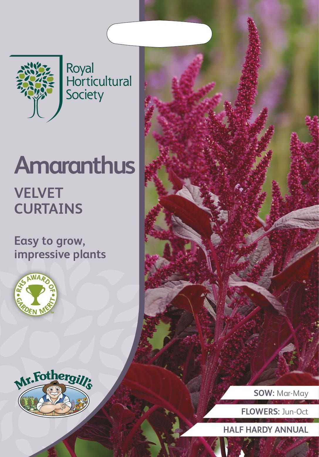 Mr Fothergills RHS Amaranthus Velvet Curtains 1500 Seeds