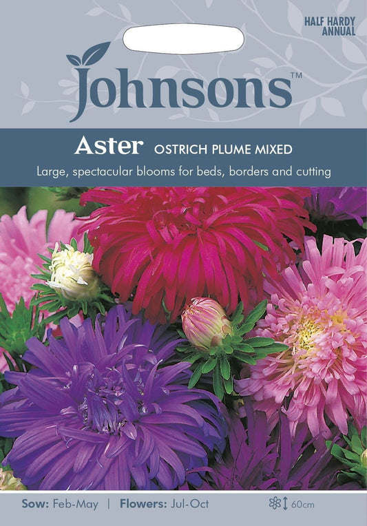 Johnsons Aster Ostrich Plume Mixed 250 Seeds