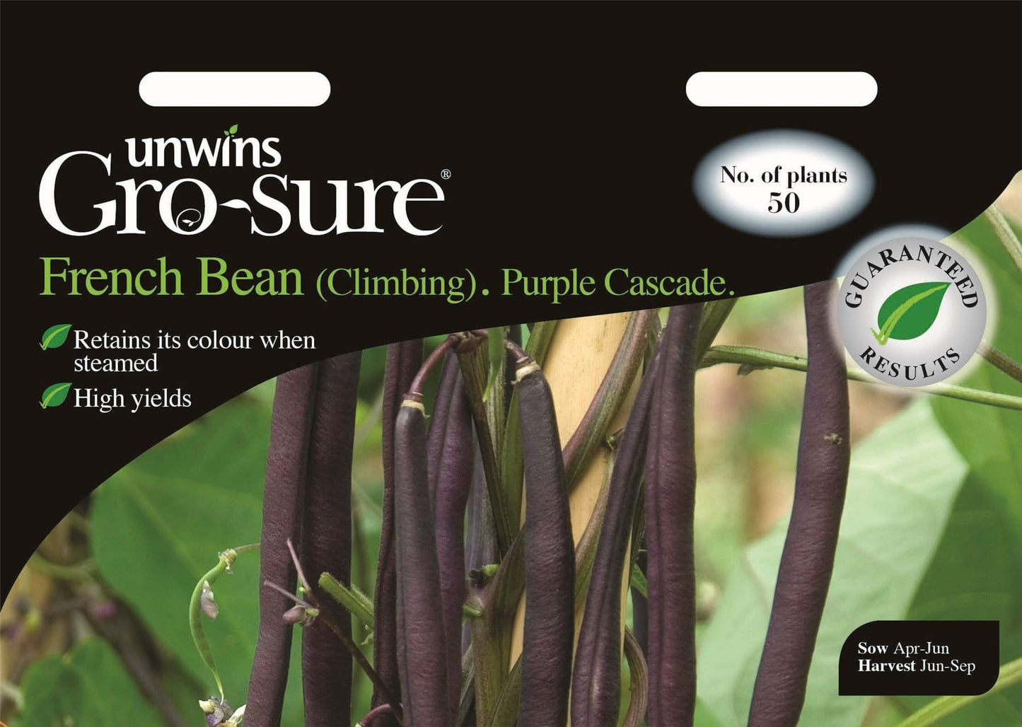 Unwins Climbing Bean Purple Cascade 50 Seeds