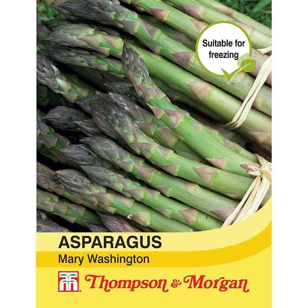 Thompson & Morgan Asparagus Mary Washington 40 Seed