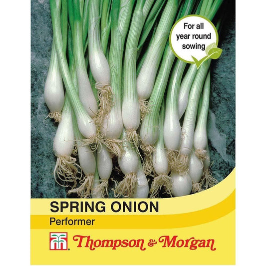 Thompson & Morgan Spring Onion Performer 250 Seed